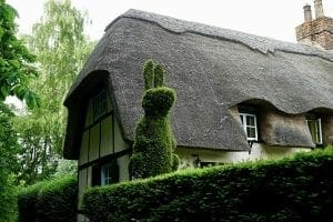 thatched country home
